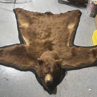 Lot 183 | Taxidermy Brown Bear
