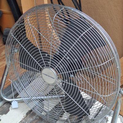 Fan