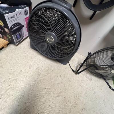 Fan