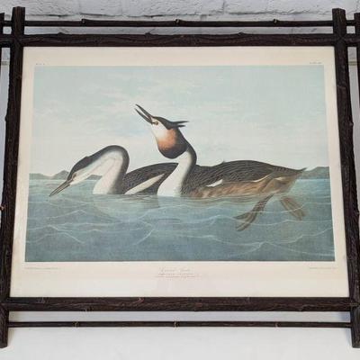 Antique Audubon Print in Rustic Wood Frame
