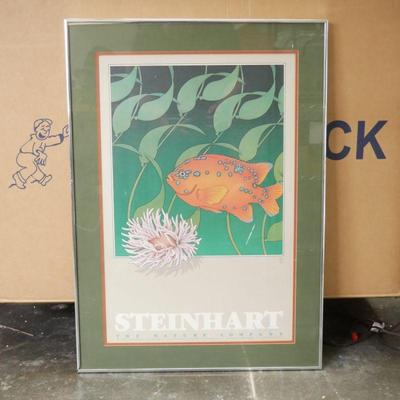 Framed Art Print Marine Life By Daniel Gilbert
