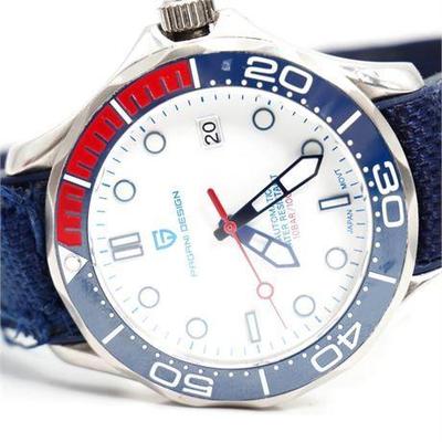 Pagani Design Automatic Watch PD-1667