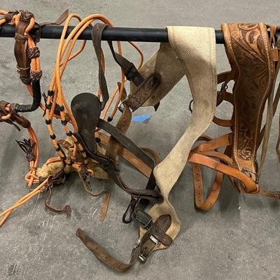 Assorted Vintage Horse Tack Bridals, Reigns, And More