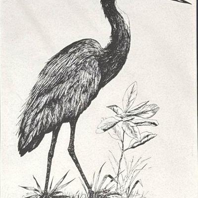 Douglas M. Haag | Study of a heron. Pencil signed and ed. 616/1000. Sight 9.5 x 7.5 in - h. 14 x w. 11 in (mat)