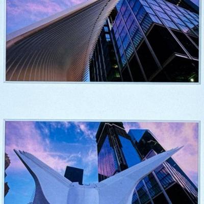 FRANK RITTER (American, 1946-2023) PHOTOGRAPH | Diptyc, framed as one. - h. 21 x w. 17.5 in (frame)

