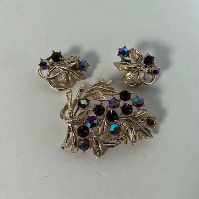 Coro earrings & Brooch