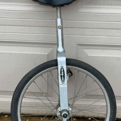 Schwinn Unicycle