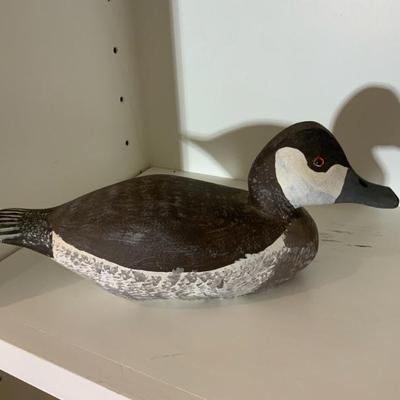 Duck Decoy