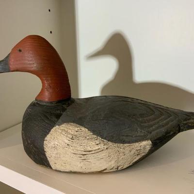 Duck Decoy
