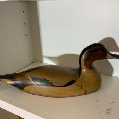 Duck Decoy