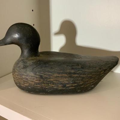 Duck Decoy