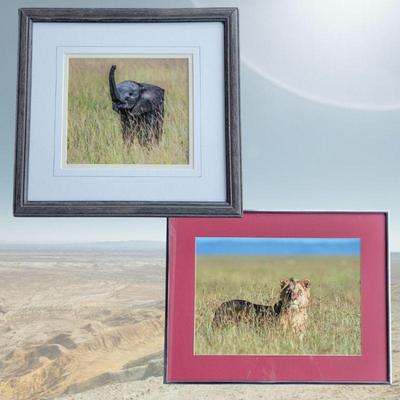 Elephant Lion Photography Art By Jan