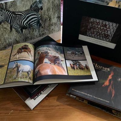 Original My Publisher Photos -Horses, Nature & More