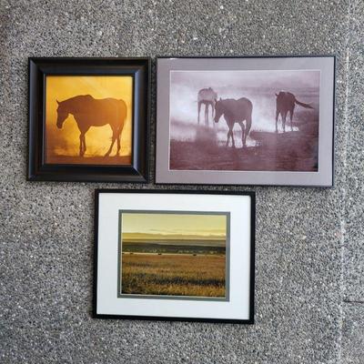 Original Horse Photographic Art by Jan
