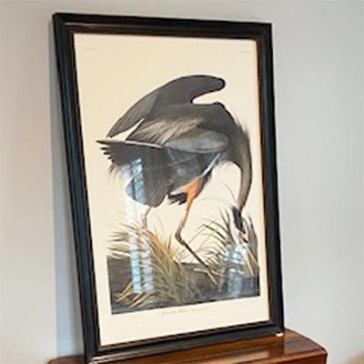 ELEPHANT SIZE "GREAT BLUE HERON" LIMITED EDITION OF 500 PLATE 211 FROM BIRDS OF AMERICA. UNFRAMED SIZE IS 28" X 39"....