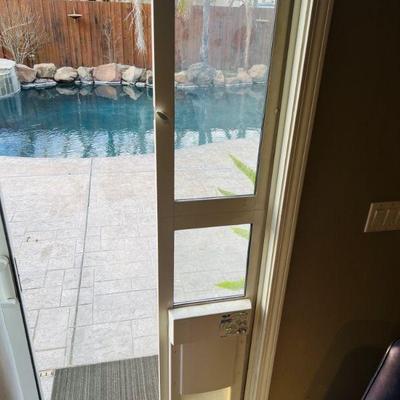 Automatic dog door working 