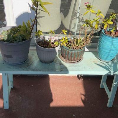 Table, Plants