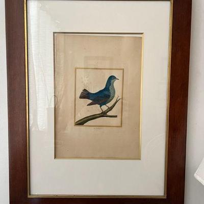 WWT008- Antique Framed Botanical Etching Print On Paper