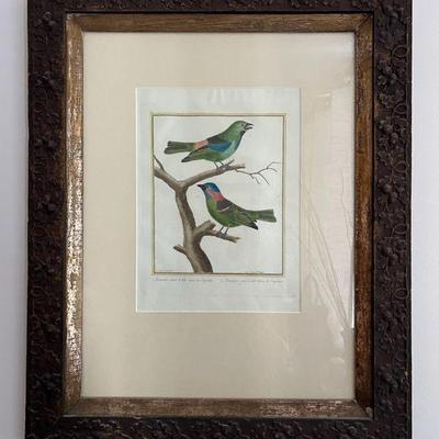 WWT007- Antique Botanical Etching Print On Paper