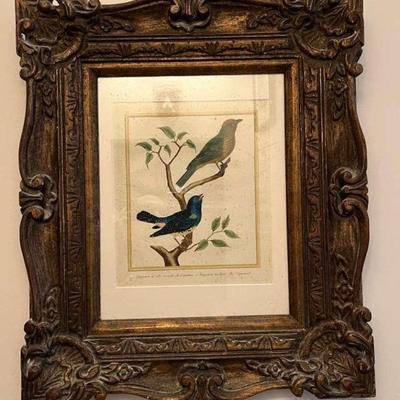 WWT009- Antique Framed Botanical Etching Print On Paper