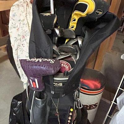 More Golf Clubs with Bags