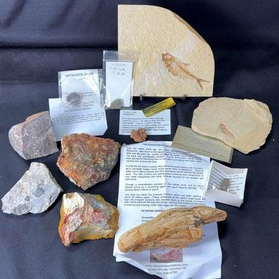 Fossils rocks trinitite, fulgurites, petrified wood & meteorite oxide