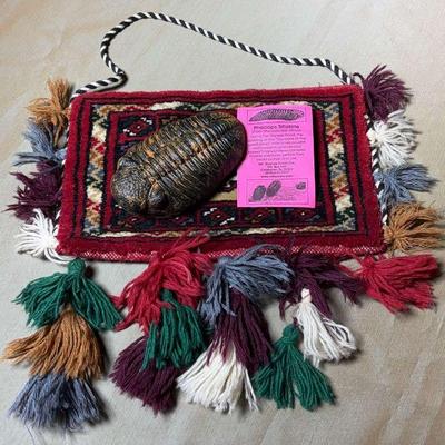 Baluch bag trilobite cast