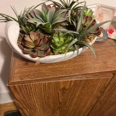 Succulents