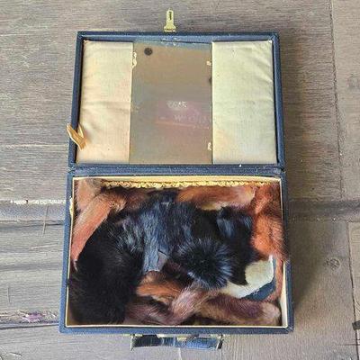 #3006 • (7) Pieces of Scrap Fur in Case
