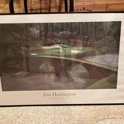 Lots of framed art work--still lives, abstracts, botanicals, museum posters, nature