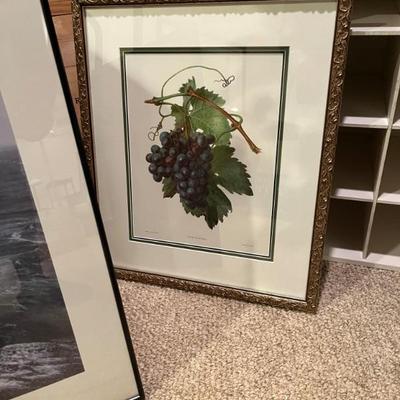 Lots of framed art work--still lives, abstracts, botanicals, museum posters, nature