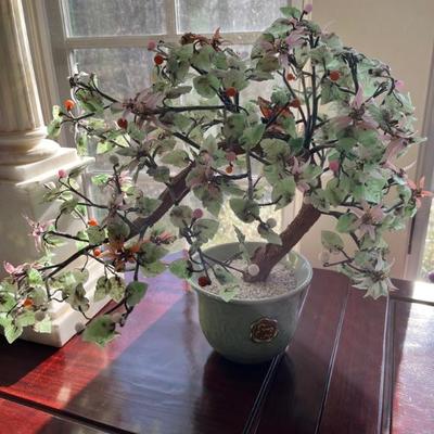 Jade trees
