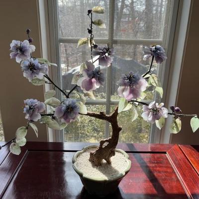 Jade trees