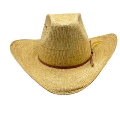 Lot 283 
Vintage Stetson Roadrunner Hat With Exclusive Bryantcote Finish
