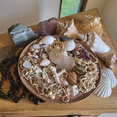 97 seashells coral rocks collection