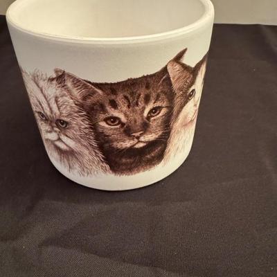 Cat planter