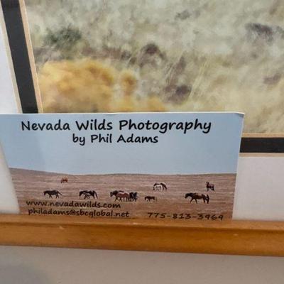 Nevada Wilds Photography by Phil Adams