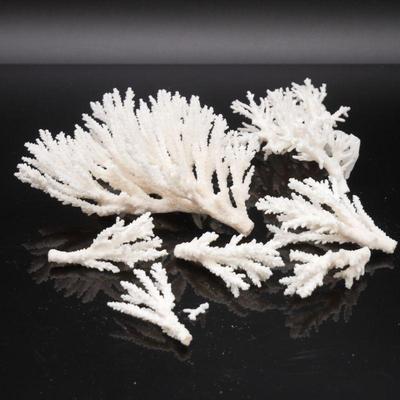7 Piece Lot of White Lace Coral