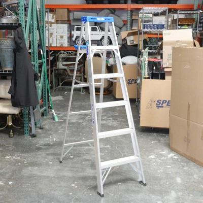 Werner Mo. 366 Mk21 6ft Aluminum Ladder with Paint Tray
