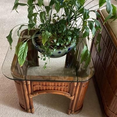 Glass top with ratan base end table