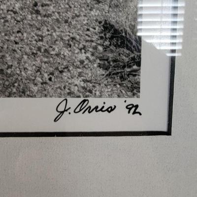 Vintage 1992 signed Palm Desert print