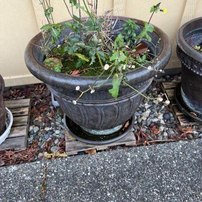 outdoor pot