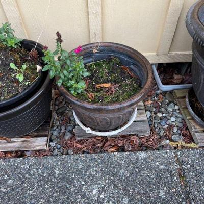 outdoor pot