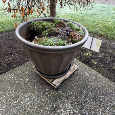 outdoor pot
