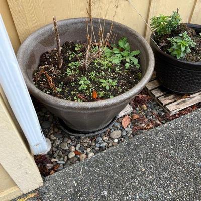 outdoor pot