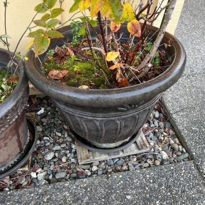 outdoor pot