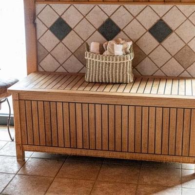 $100 pool supply chest for swimmies pool toys etc 