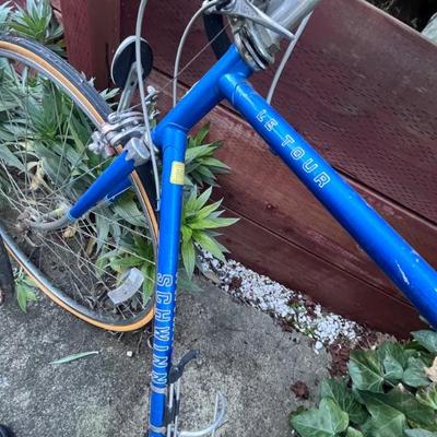 SCHWINN