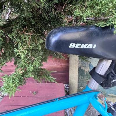 SEKAI BIKE 