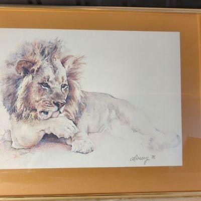Framed Print -Lion By Livesey
